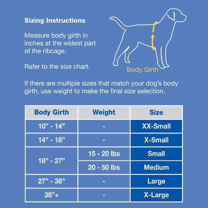Dog Life Jacket - Keep Your Canine Safe with a Neoprene Life Vest - Designer Life Jackets - Perfect for Swimming and Boating - Blue and Yellow, Medium